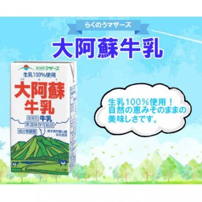 大阿蘇牛乳　250ml×48本【らくのうマザーズ】(宇城市)