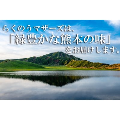 大阿蘇牛乳　250ml×48本【らくのうマザーズ】(宇城市)