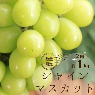 シャインマスカット2房(合計約1kg)