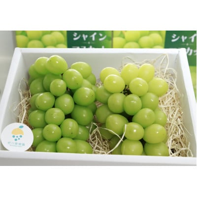 シャインマスカット2房(合計約1kg)