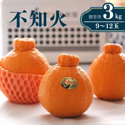 【雑誌「MORE」掲載品】松川果樹園の不知火　贈答用相当品　3kg(9～12玉程度)