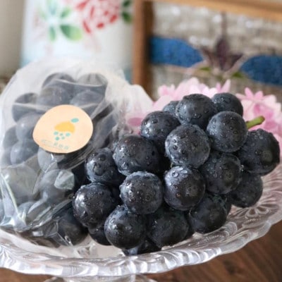 宇城市産　松川果樹園の種なし巨峰　約2kg(5～6房入り)