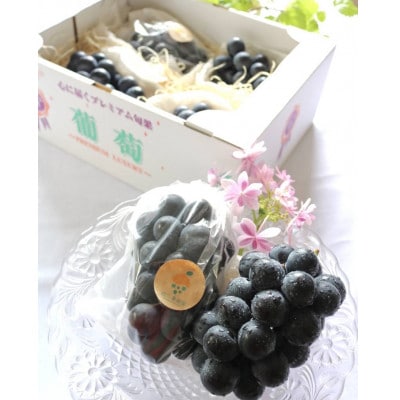 宇城市産　松川果樹園の種なし巨峰　約2kg(5～6房入り)
