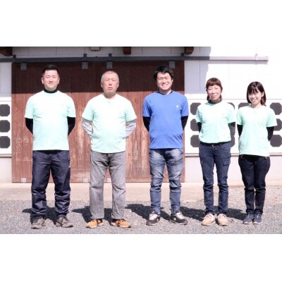 宇城市産　松川果樹園の種なし巨峰　約1.5kg(4房入り)