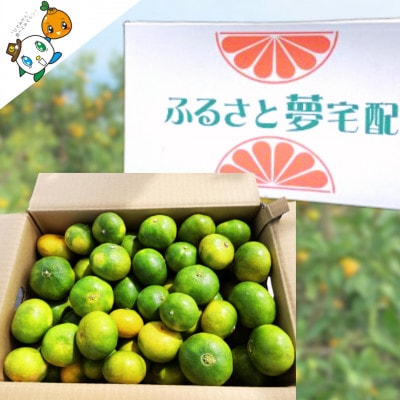 【10月上旬より順次発送】宇城市産 豊福 極早生みかん 約9kg