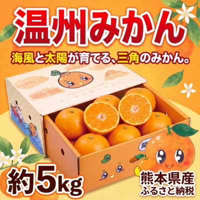 【数量限定】ひでみかん宇城市産 青島 温州みかん 約5kg