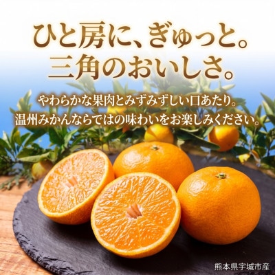 【数量限定】ひでみかん宇城市産 青島 温州みかん 約5kg