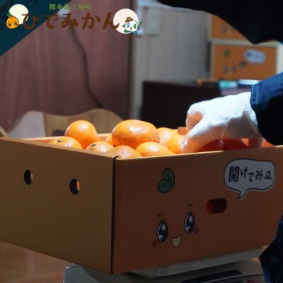 【数量限定】ひでみかん宇城市産 青島 温州みかん 約5kg