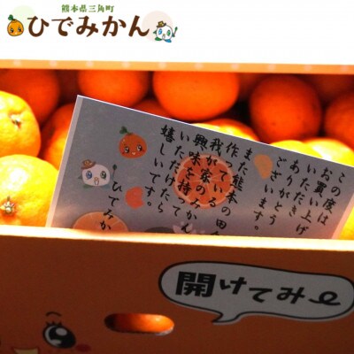 【数量限定】ひでみかん宇城市産 青島 温州みかん 約5kg