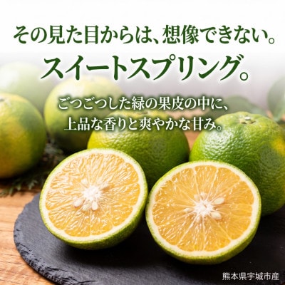 宇城市産 スイートスプリング 約4kg ひでみかん