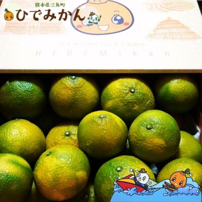 宇城市産 スイートスプリング 約4kg ひでみかん