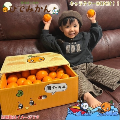 宇城市産  早生 ポンカン 約4kg ひでみかん