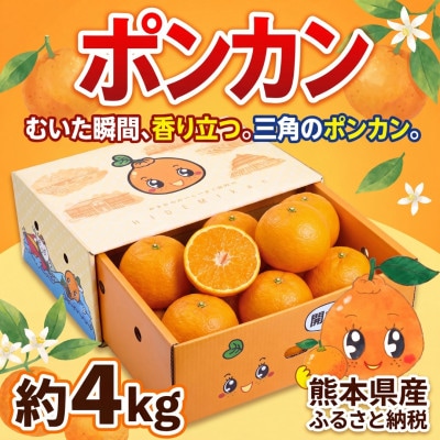 宇城市産 ポンカン 約4kg ひでみかん