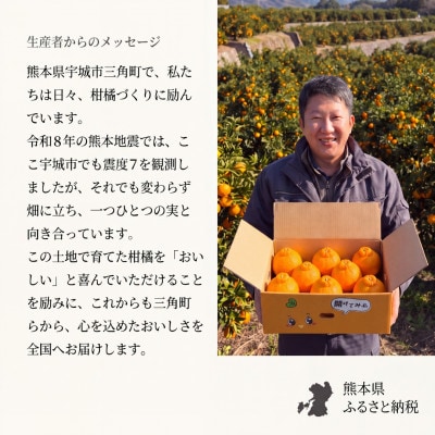 宇城市産 ポンカン 約4kg ひでみかん