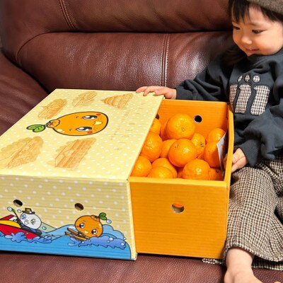 不知火 約3.5kg(15個前後)