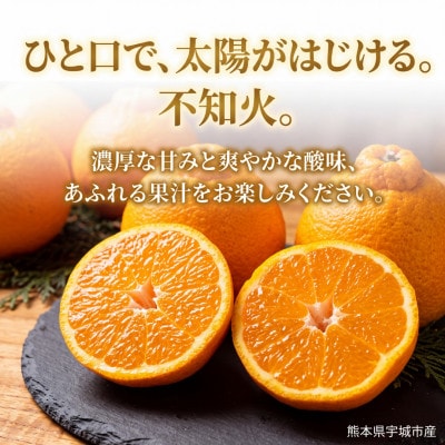 不知火 約3.5kg(15個前後)