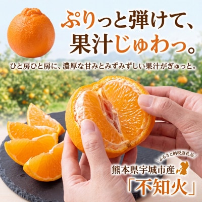 不知火 約3.5kg(15個前後)