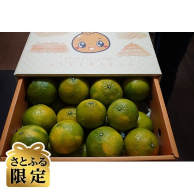 【さとふる限定】スイートスプリング約4kg 宇城市産