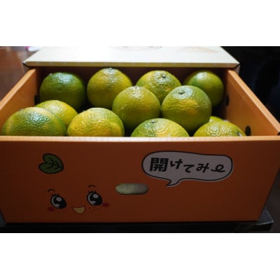 【さとふる限定】スイートスプリング約4kg 宇城市産