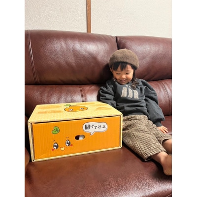 【さとふる限定】スイートスプリング約4kg 宇城市産