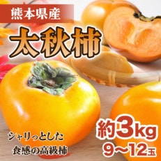 宇城市産 太秋柿 約3kg(宇城市)