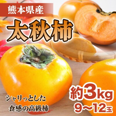 宇城市産　太秋柿　約3kg(宇城市)
