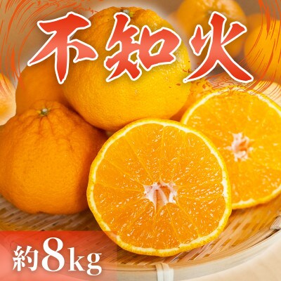 熊本県宇城市産　不知火(しらぬい)　約8kg