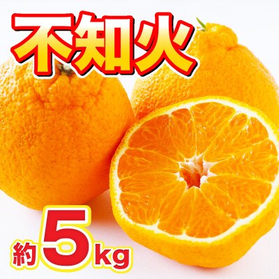 宇城市産　不知火(しらぬい)　約5kg