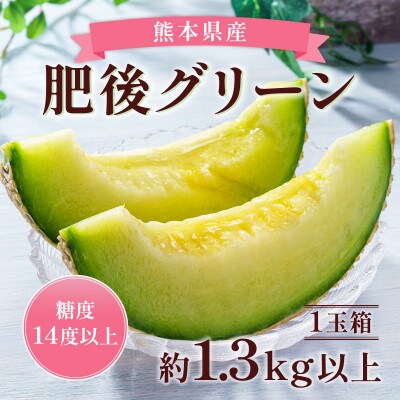 熊本県産肥後グリーンメロン1玉 約1.3kg(宇城市)