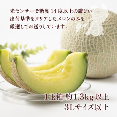 熊本県産肥後グリーンメロン1玉 約1.3kg(宇城市)