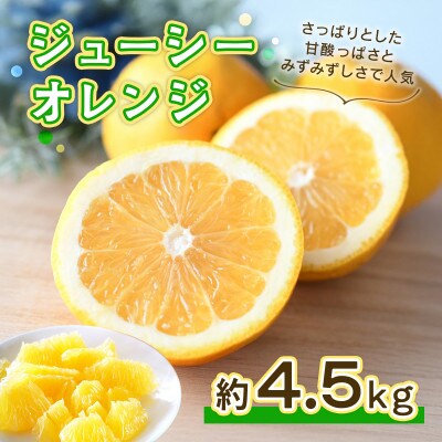 熊本産ジューシーオレンジ4.5kg(宇城市)