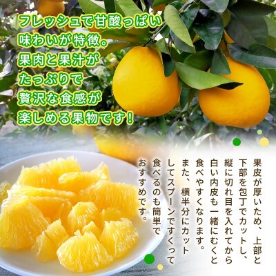 熊本産ジューシーオレンジ4.5kg(宇城市)