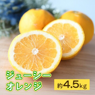 熊本産ジューシーオレンジ4.5kg(宇城市)