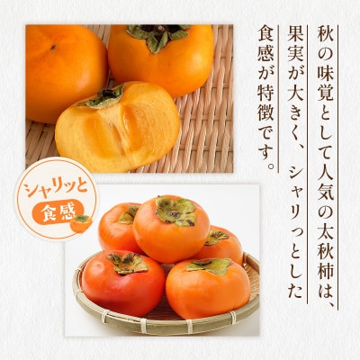 太秋柿　約2kg(宇城市)