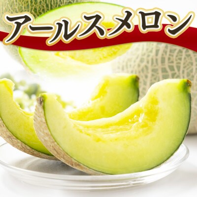 アールスメロン 1玉 約1.3kg(宇城市)