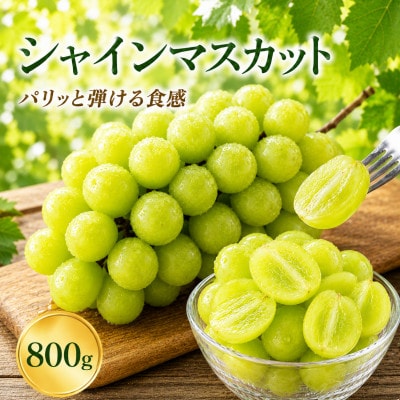 シャインマスカット　800g(宇城市)