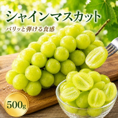 シャインマスカット　500g(宇城市)