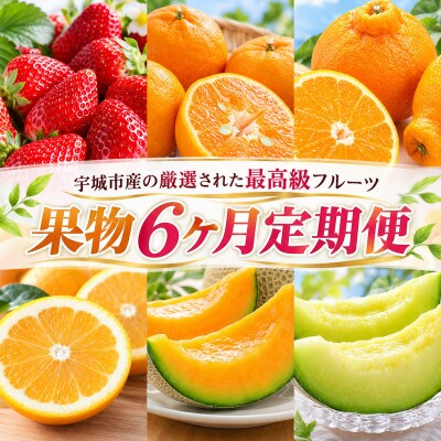 【発送月固定定期便】旬の果物6か月定期便(宇城市)全6回