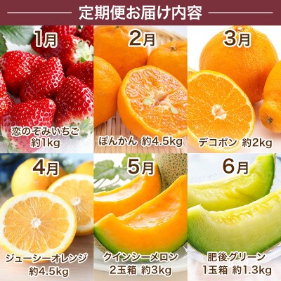 【発送月固定定期便】旬の果物6か月定期便(宇城市)全6回
