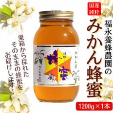 国産純粋|福永養蜂農園のみかん蜂蜜1200g&times;1本