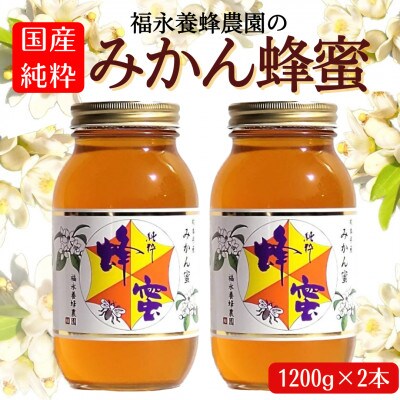 みかん蜂蜜 1200g 2本