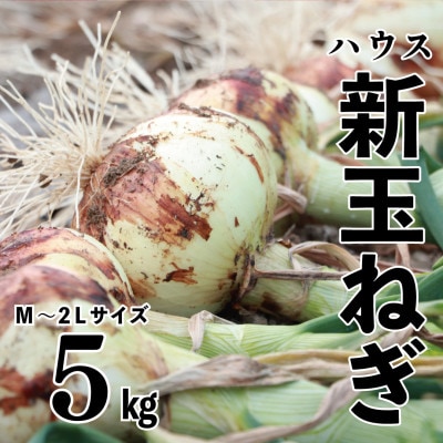 先行予約 新玉ねぎ 5kg 訳あり M～2L混合【2026年2月中旬～3月上旬発送】