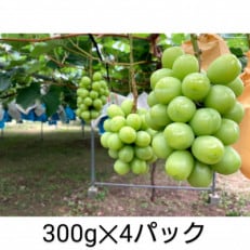 [2024年8月より順次発送]宇城市産・シャインマスカット300g×4パック