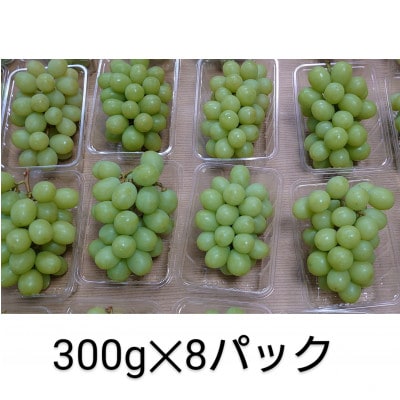 《2025年8月より順次発送》宇城市産・大粒シャインマスカット 約300g×8パック