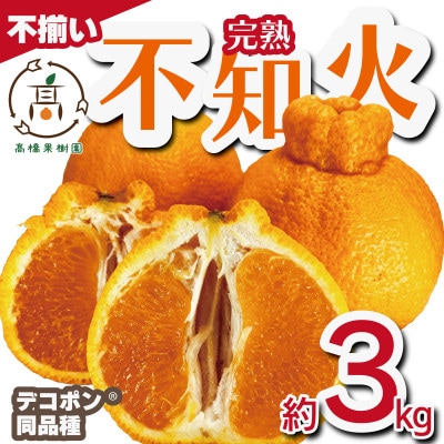 完熟 不知火 約3kg(8玉～13玉) 2月上旬から順次発送 サイズ不揃い