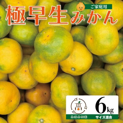 極早生みかん 6kg 熊本県宇城市産