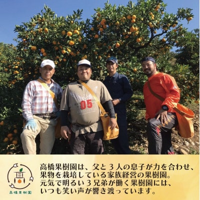 極早生みかん 6kg 熊本県宇城市産