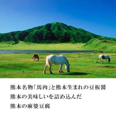 【大辛】馬肉 麻婆豆腐の素 (2～3人前) ×5パック　熊本県宇城市