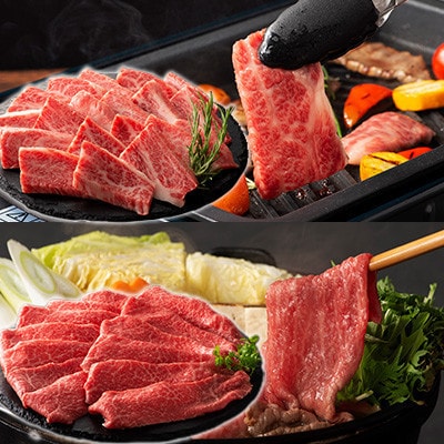 「熊本特産馬刺しとくまもと黒毛和牛」フジチクオリジナル贅沢食べ比べセット(宇城市)