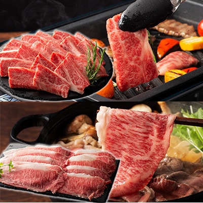 くまもと黒毛和牛「藤彩牛」サーロインステーキと2種の食べ比べ(宇城市)